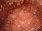 Icon_DSC00036
