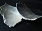 Icon_DSC00088